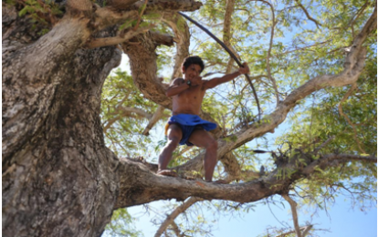 <p><strong>TRIBAL GAMES</strong>. It takes skills, form and mastery for this Mangyan indigenous athlete to execute the “Pana Sa Lupaing Ninuno” (tree top archery) in one of the Philippine Tribal Games held in the Mangyan indigenous communities nestled in the hinterlands of Sitio Lawaan, Barangay Lumangbayan in Abra de Ilog, Occidental Mindoro last Thursday (June 7, 2018). <em>(Photo by Dennis Abrina/PNA)</em></p>